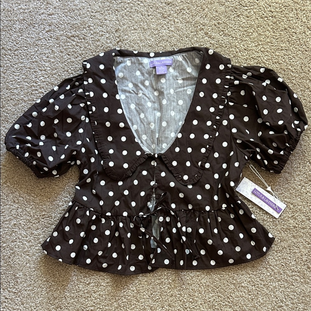 Brown Polka Dot Peplum Blouse with Peter Pan Collar